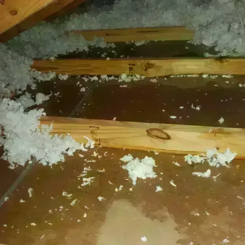 Attic Water Damage in Seven Lakes, NC