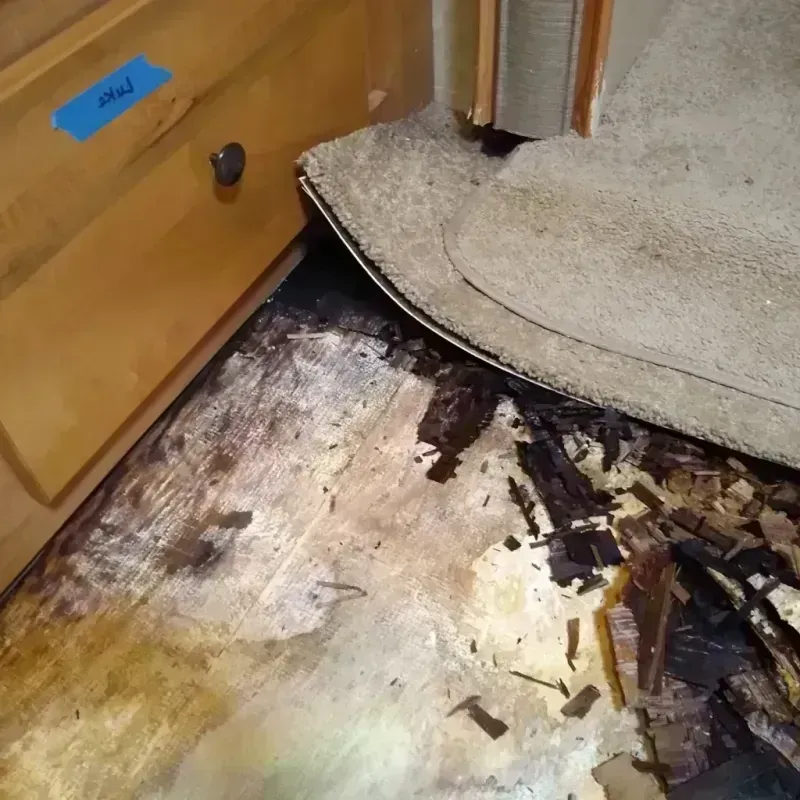 Best Wood Floor Water Damage Service in Seven Lakes, NC